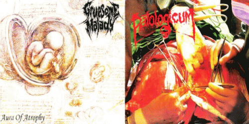 Gruesome Malady : Blasphemous Beef - Aura of Atrophy